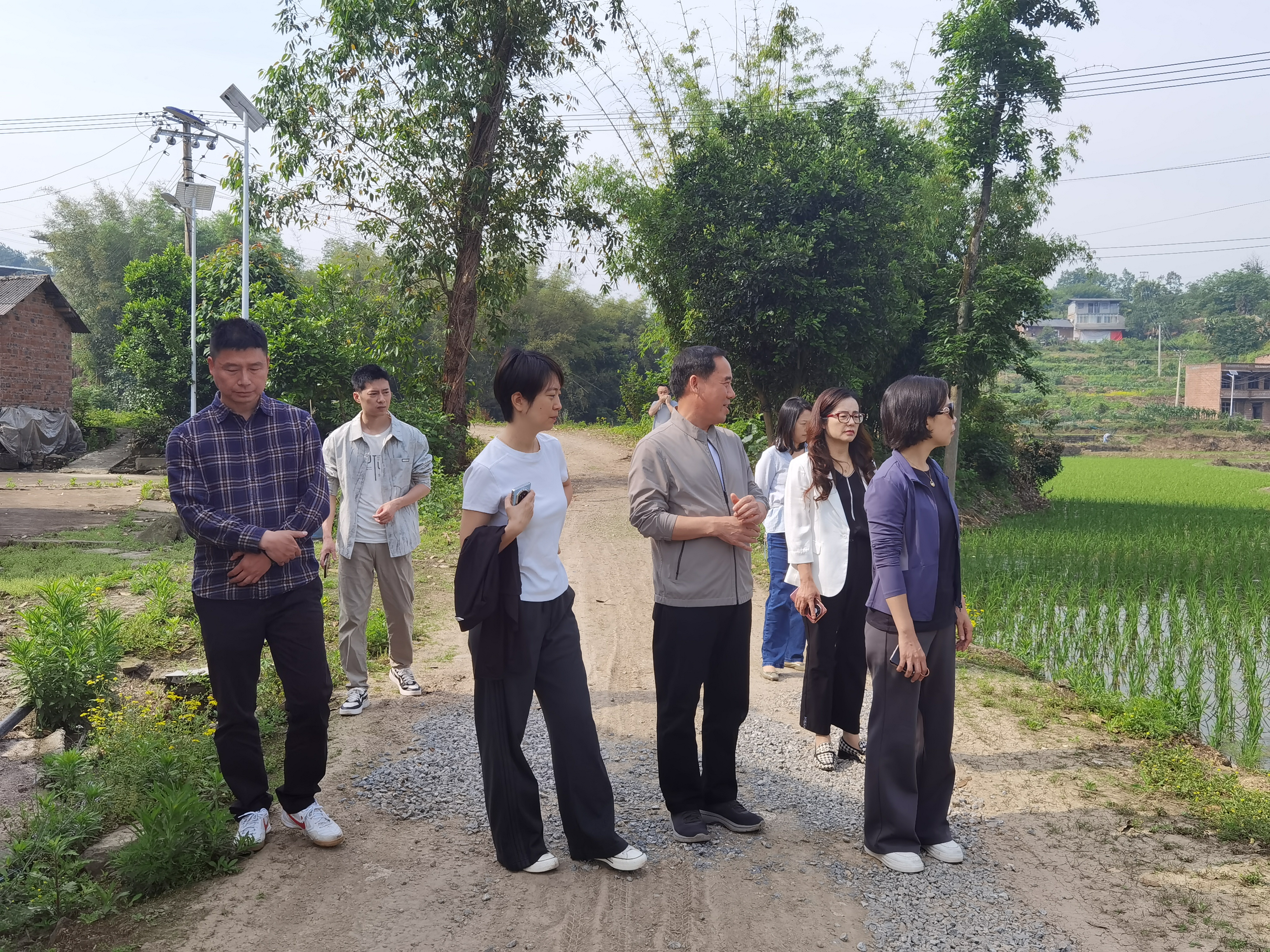 5月11日 李萍副区长带队调研群腐高标准农田整治情况、和美乡村项目建设进展、月儿弯弯文旅项目及胜天村森林防火站工作情况,惠民街道张琦主任、陈姣主任陪同.jpg