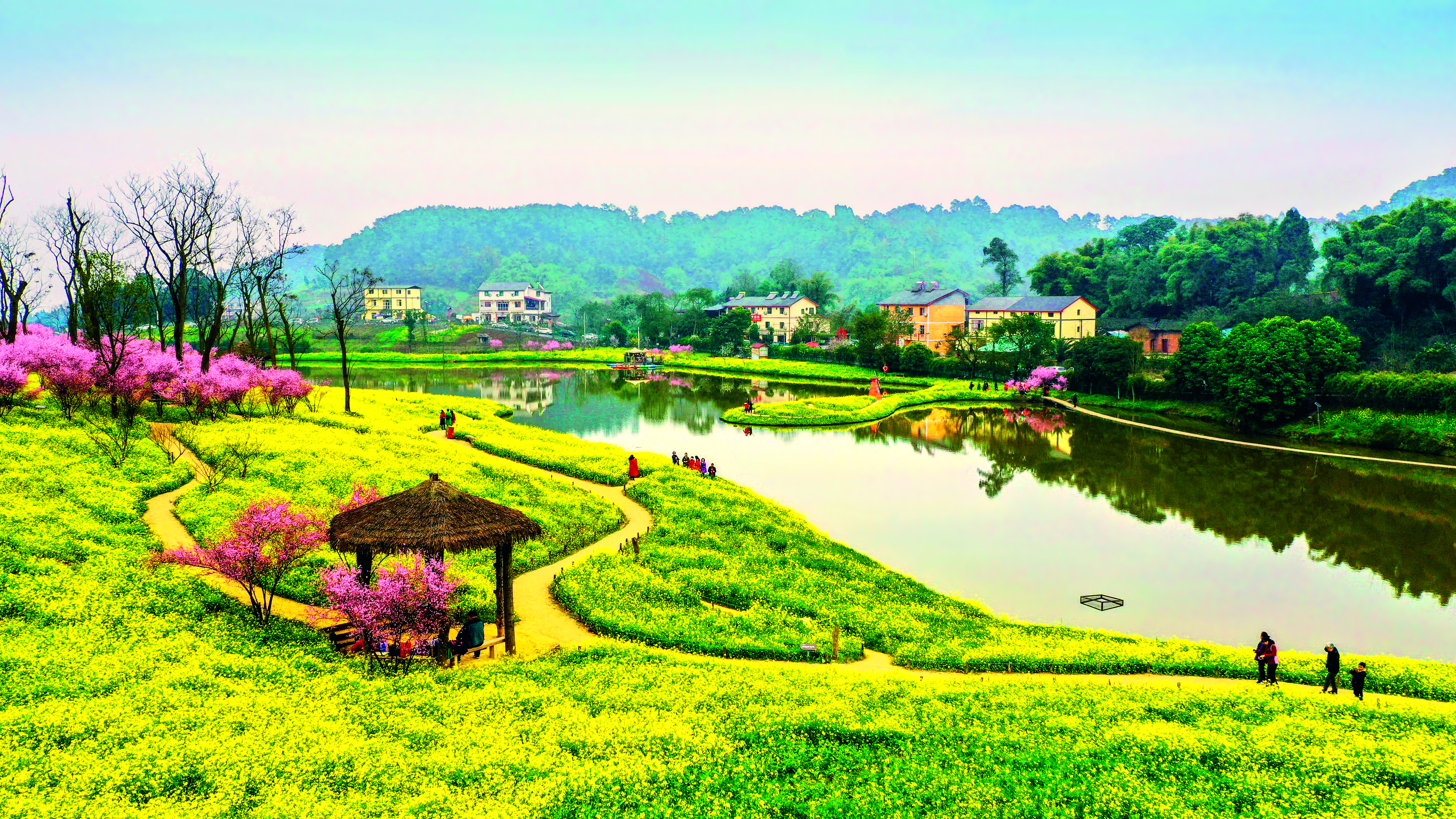 周瑄 天坪山油菜花.jpg